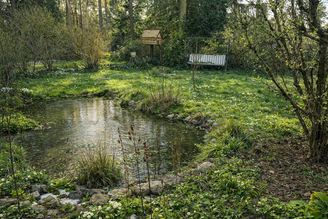 Baugrundstück mit Finnhütte in Wandlitz-Basdorf – Außenansicht